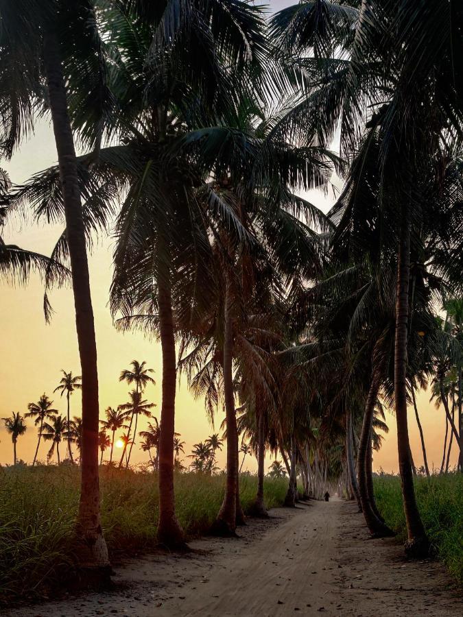 Alesara Guest House Thoddoo Eksteriør bilde
